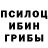 Псилоцибиновые грибы мухоморы Midhun Jayakumar