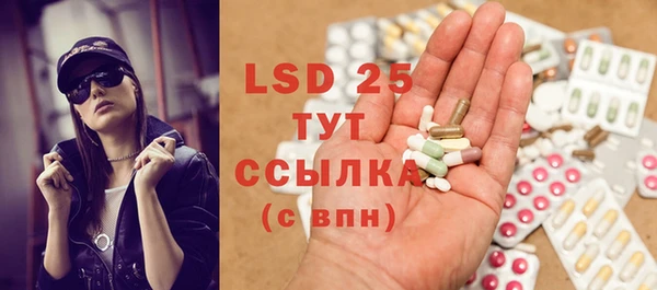 ПСИЛОЦИБИНОВЫЕ ГРИБЫ Алексин