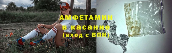 ПСИЛОЦИБИНОВЫЕ ГРИБЫ Алексин